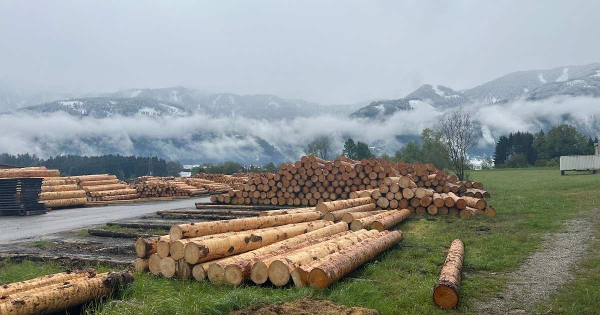 Hochwertiges Brennholz mit kostenloser Lieferung